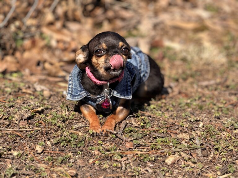 One Year Betty Update